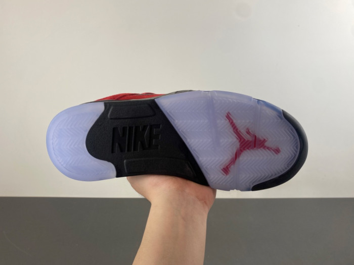 Air Jordan 5 2025 DD0587-600