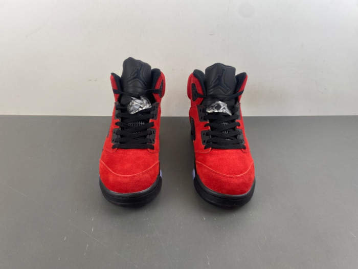 Air Jordan 5 2025 DD0587-600