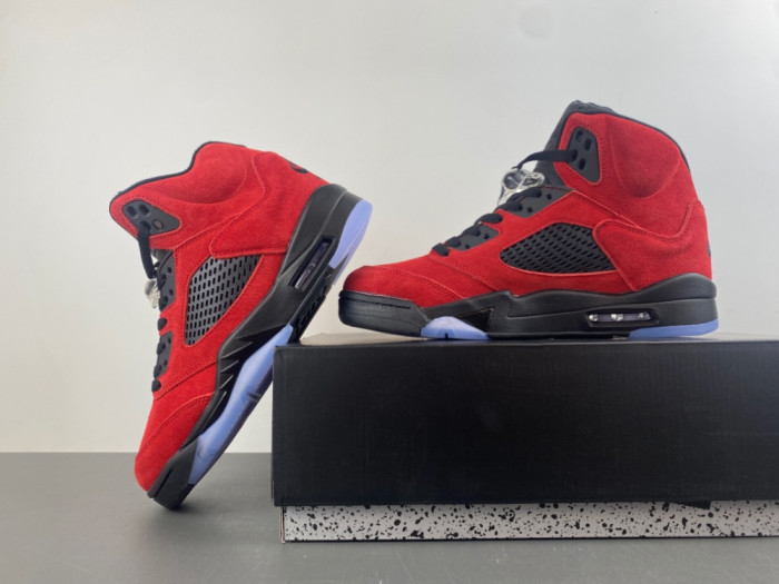 Air Jordan 5 2025 DD0587-600