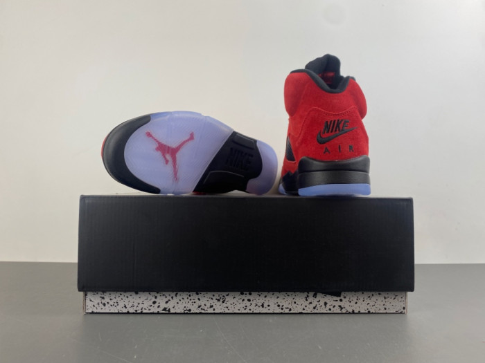 Air Jordan 5 2025 DD0587-600