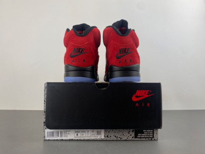 Air Jordan 5 2025 DD0587-600