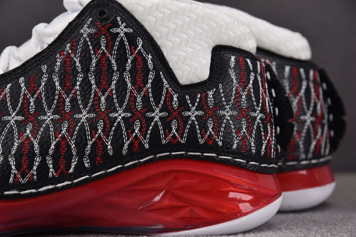 Titan x Air Jordan 23 318376-061