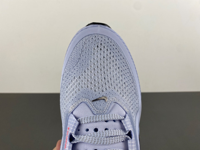 Nike Pegasus Premium 