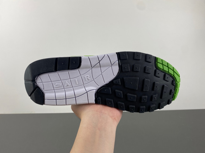 Patta x Nike Air Max 1 HF1012-300